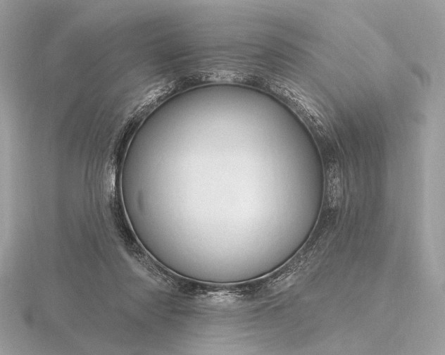 X0000116280310200912141354