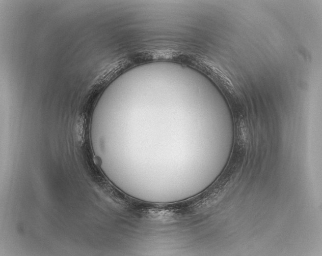 X0000116280311200912141354