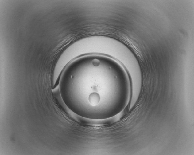 X0000116280313200912141354