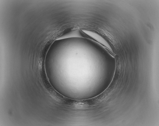 X0000116280315200912141354