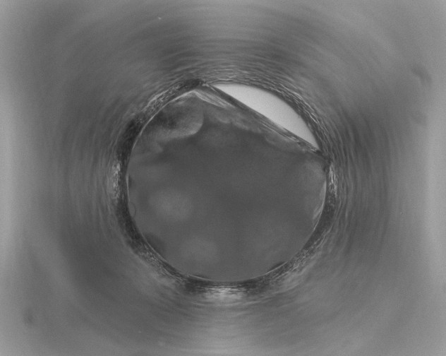 X0000116280319200912141354