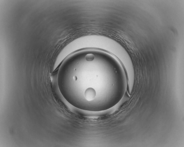 X0000116280320200912141354