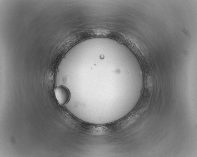 X0000116280321200912141354