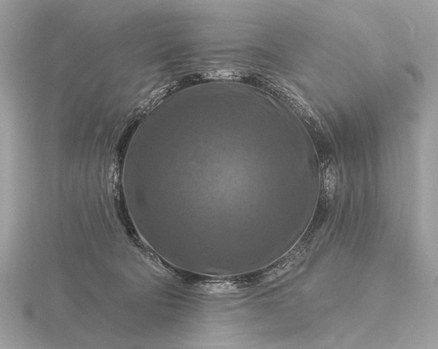 X0000116280322200912141354