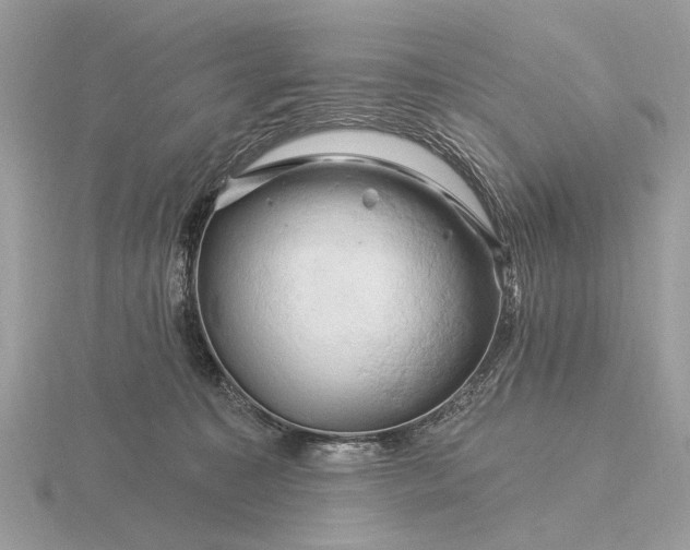 X0000116280323200912141354