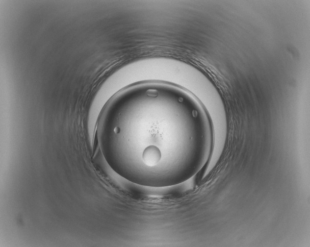 X0000116280325200912141354