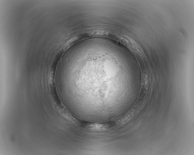 X0000116280326200912141354