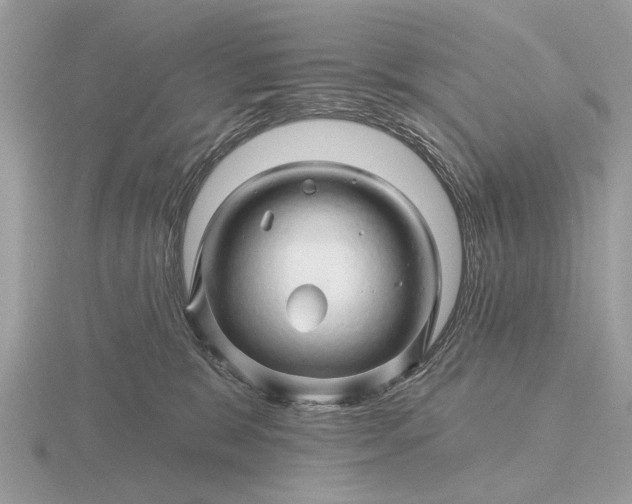 X0000116280327200912141354