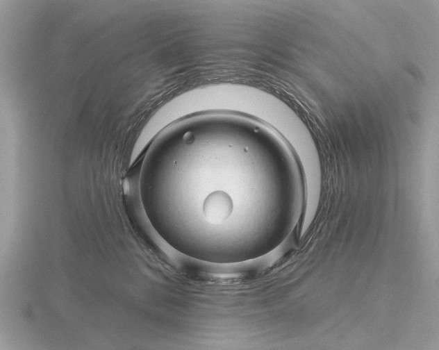 X0000116280328200912141354