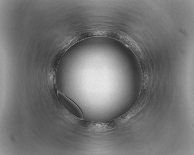 X0000116280329200912141354