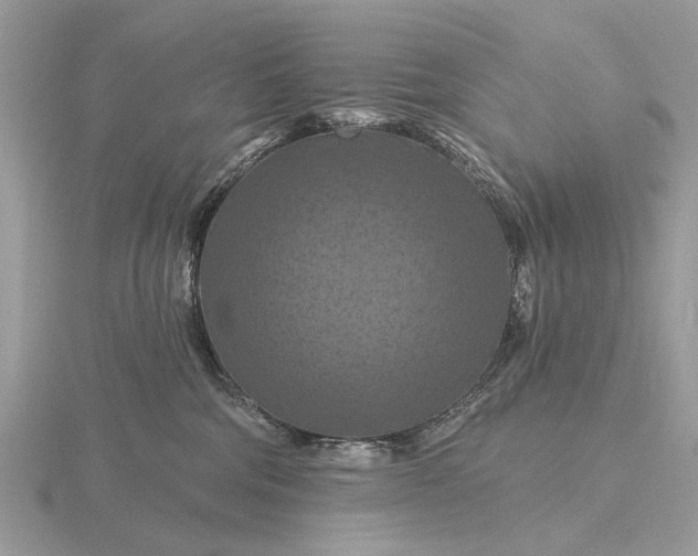 X0000116280330200912141354