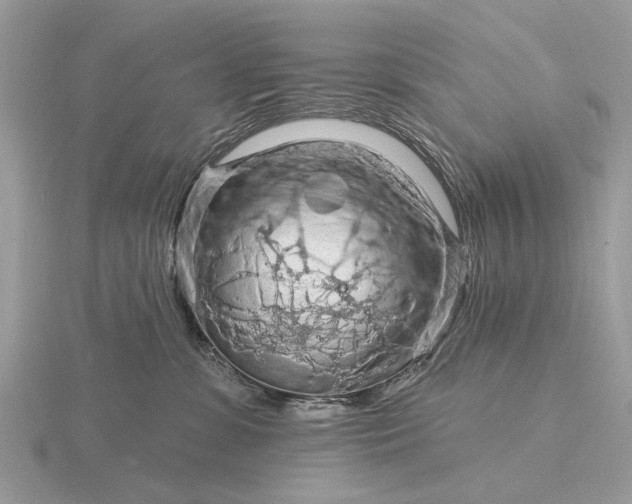 X0000116280331200912141354