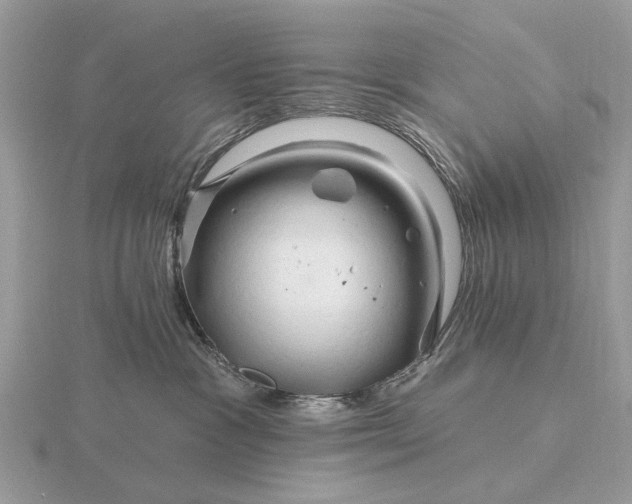 X0000116280333200912141354