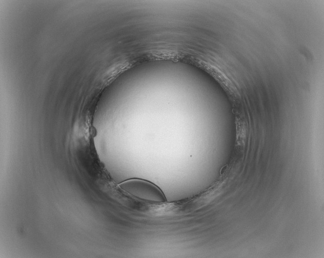 X0000116280334200912141354