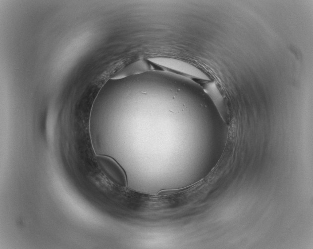 X0000116280335200912141354