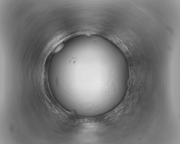 X0000116280338200912141353