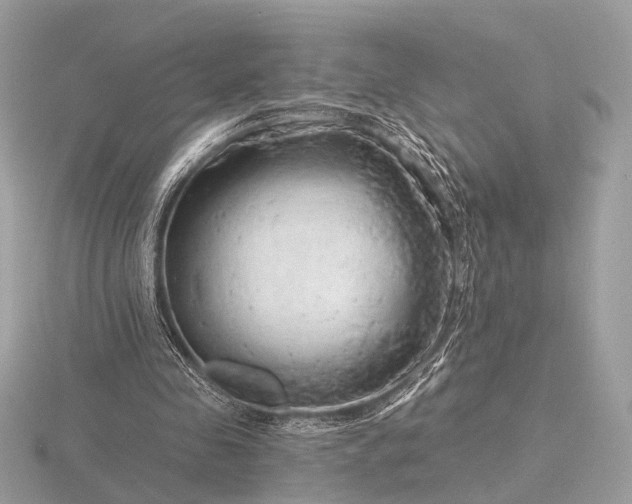 X0000116280341200912141353