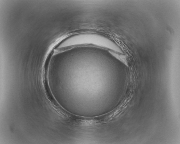 X0000116280342200912141353