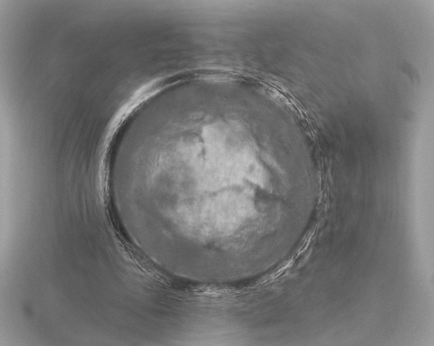 X0000116280343200912141353