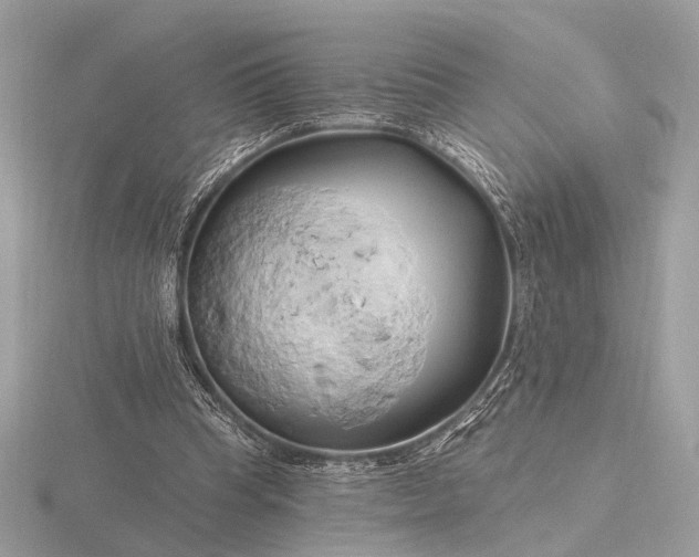 X0000116280345200912141353