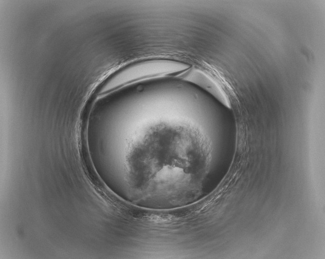 X0000116280346200912141353