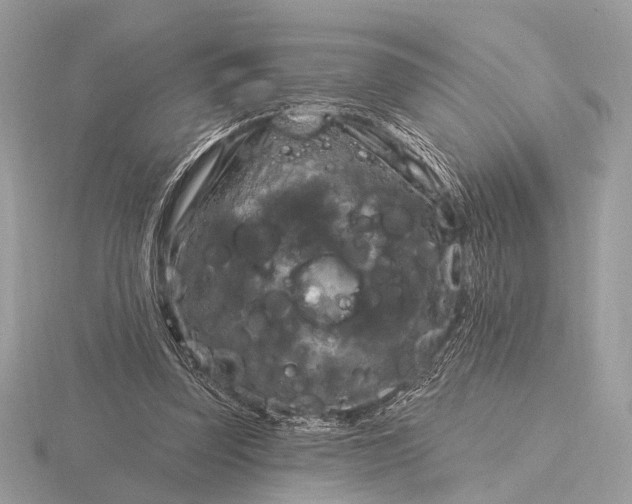 X0000116280347200912141353