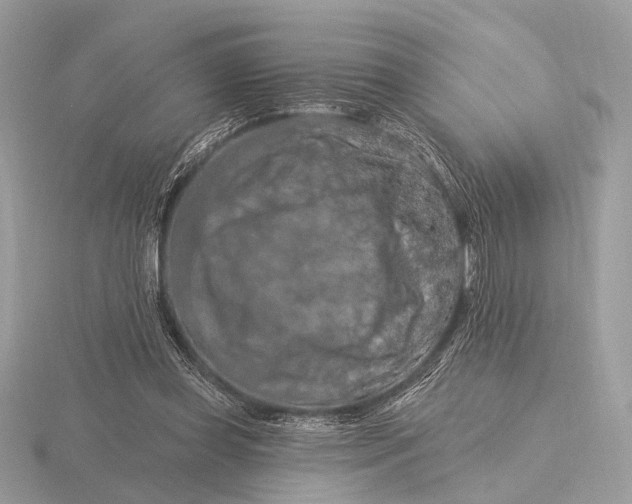 X0000116280349200912141353