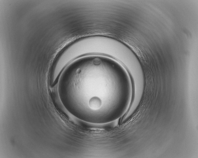 X0000116280350200912141353