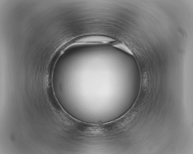 X0000116280351200912141353