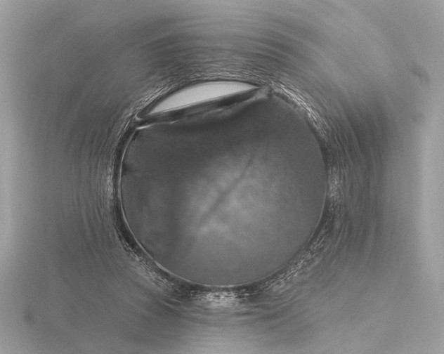 X0000116280353200912141353