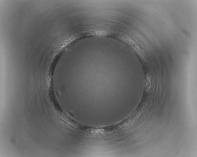 X0000116280355200912141353