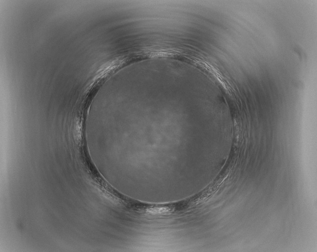 X0000116280357200912141353