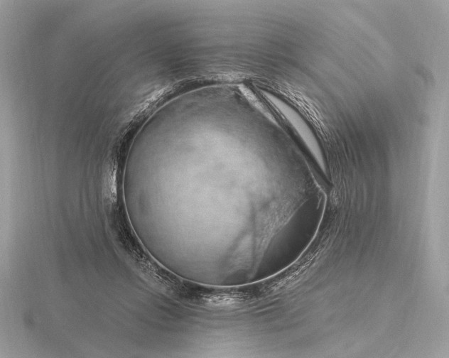 X0000116280358200912141353