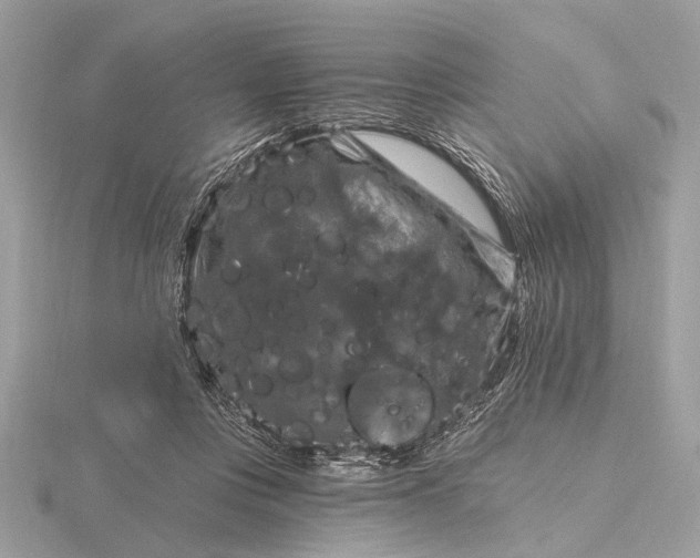 X0000116280359200912141353