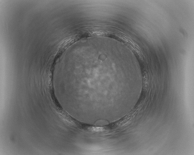 X0000116280361200912141353