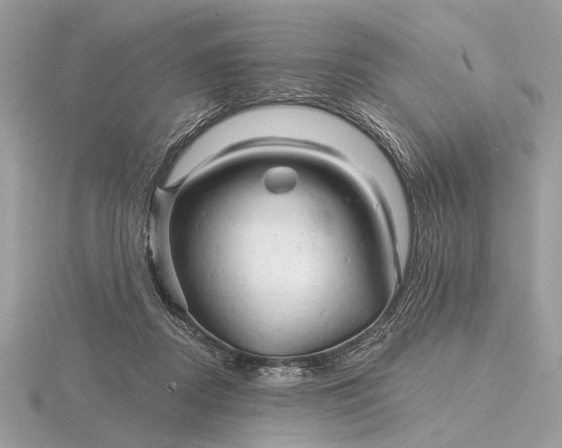 X0000116280362200912141353