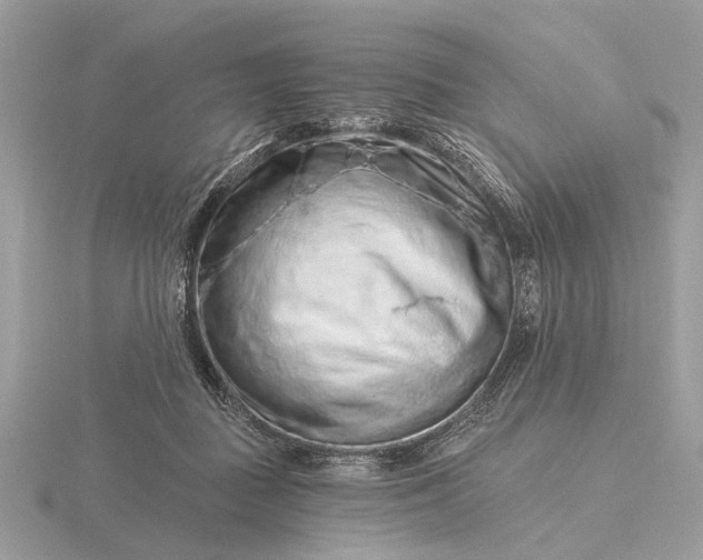 X0000116280363200912141353