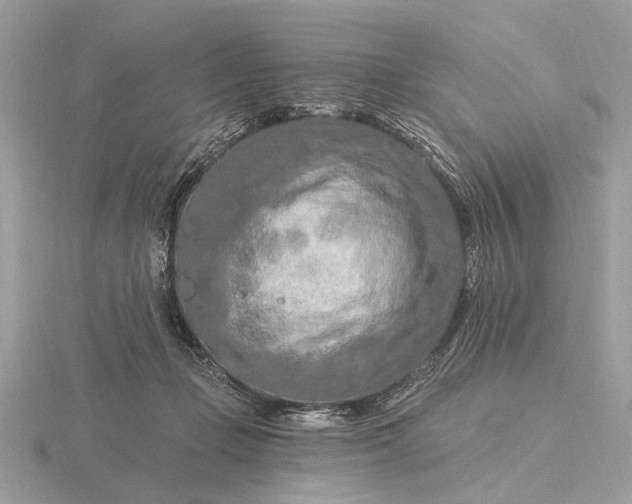 X0000116280365200912141353