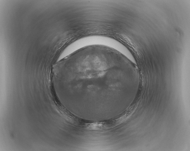 X0000116280366200912141353