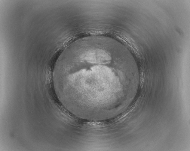 X0000116280367200912141353