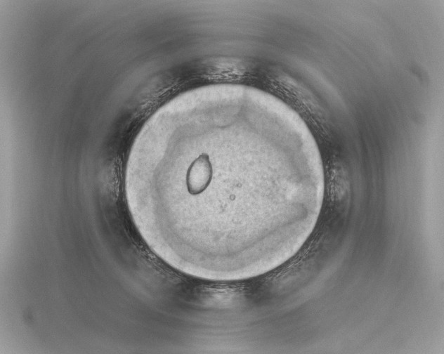 X0000116280370200912141353