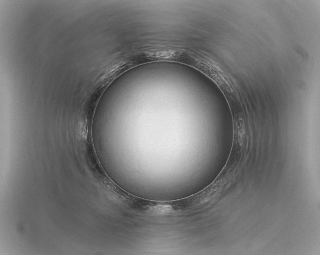 X0000116280374200912141353