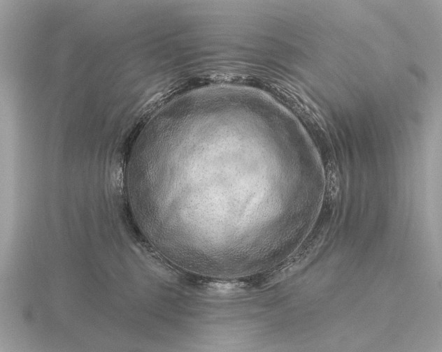 X0000116280375200912141353