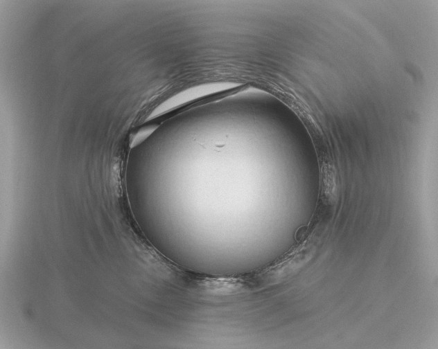 X0000116280378200912141353