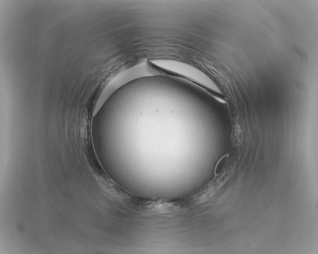 X0000116280379200912141353