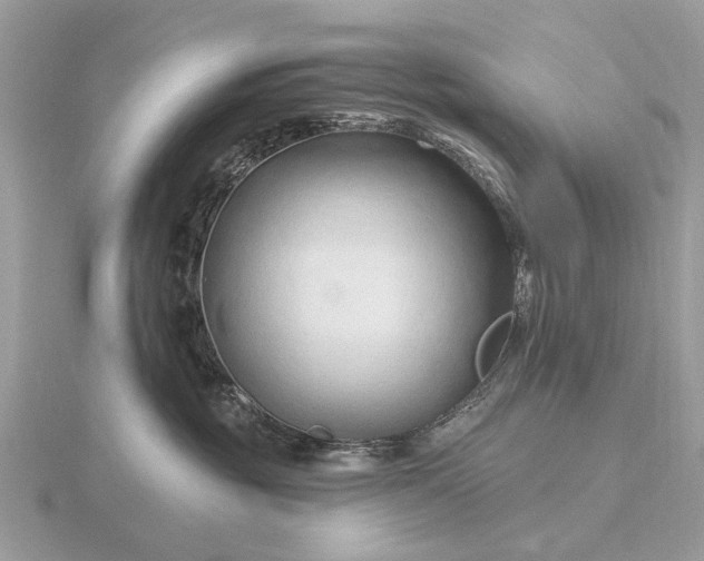 X0000116280381200912141353