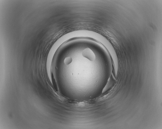 X0000116280382200912141353