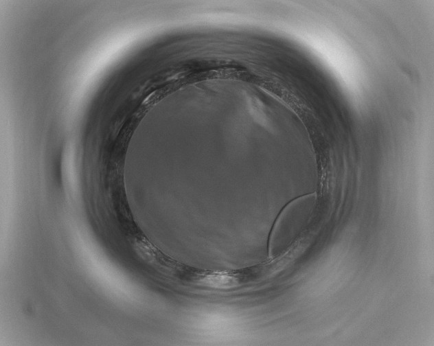 X0000116280383200912141353