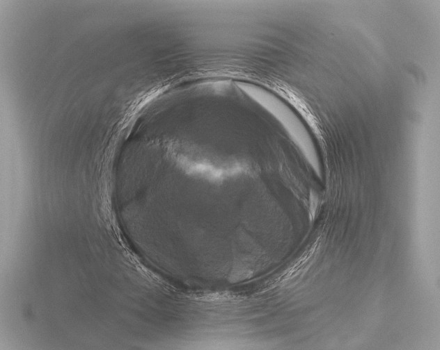 X0000116280385200912141353