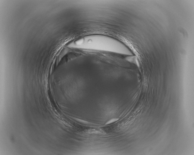 X0000116280386200912141353